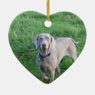 Weimaraner Liebhaber-Verzierung Keramikornament