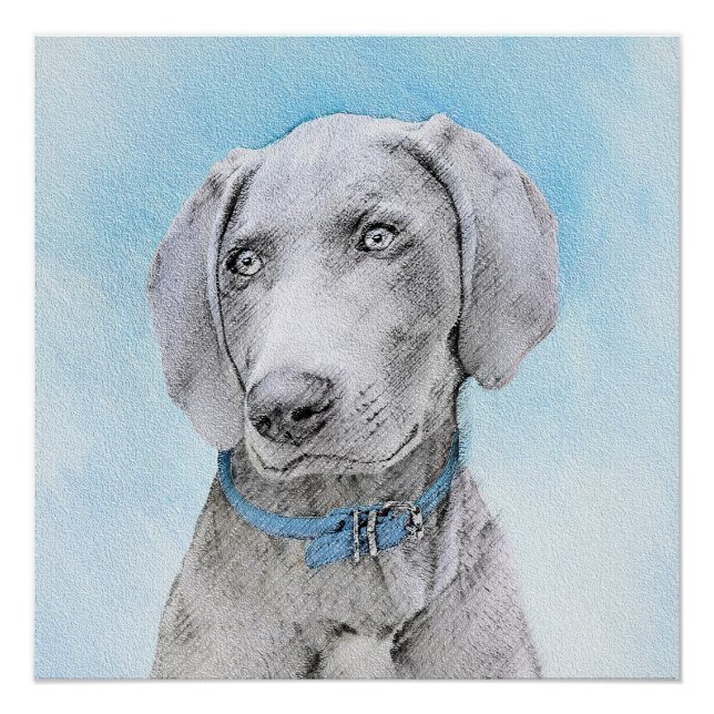 Weimaraner Malerei - Niedliche Original Hunde Kuns Poster (Vorderseite)