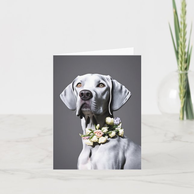 Weimaraner mit Blume, unbedankt (Vorderseite)