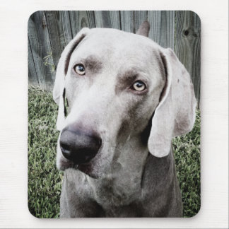 Weimaraner Mousepad