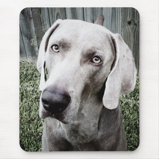 Weimaraner Mousepad (Vorne)
