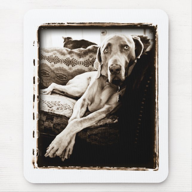 Weimaraner Nation: "Ballous Stuhl " Mousepad (Vorne)