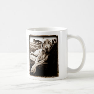 Weimaraner Nation: Ballous Stuhl Tasse