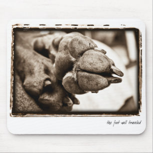 Weimaraner Nation: "Der Fuß reiste gut " Mousepad