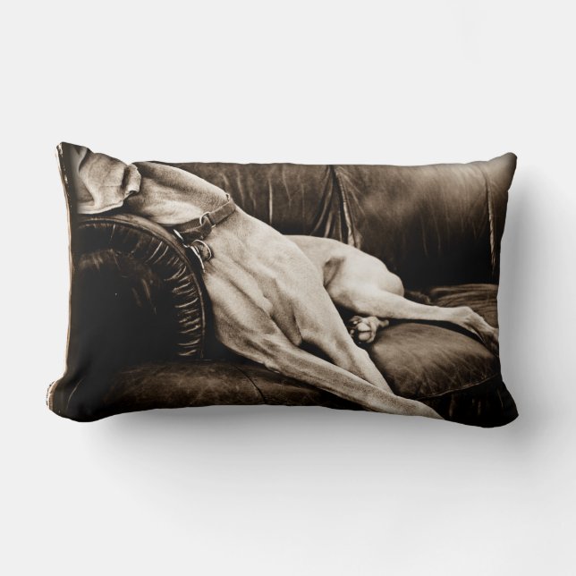 Weimaraner Nation ©: "Die Couch übernehmend " Lendenkissen (Vorderseite)