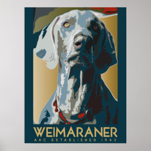 Weimaraner Nation: HUNDEZUCHTVERBAND Weimaraner Poster