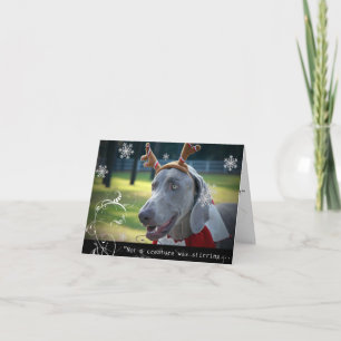 Weimaraner Nation: "Nicht war ein Geschöpf… Feiertagskarte