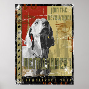 Weimaraner Nation : Vintag Weimaraner! Poster