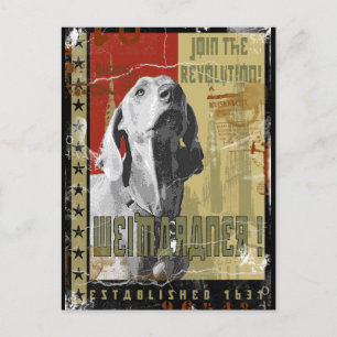 Weimaraner Nation: Vintag Weimaraner! Postkarte