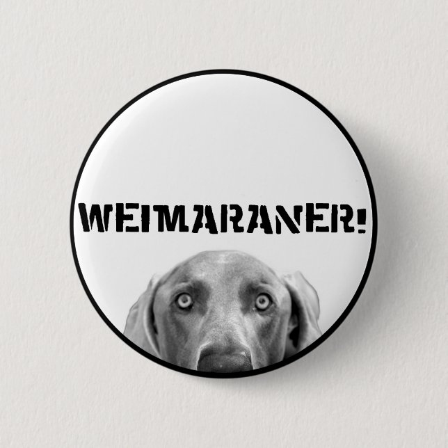 Weimaraner Nation: Weimaraner in einem Kasten! Button (Vorderseite)