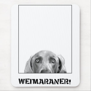 Weimaraner Nation: Weimaraner in einem Kasten! Mousepad