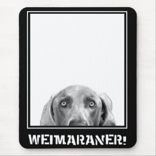 Weimaraner Nation: Weimaraner in einem Kasten! Mousepad