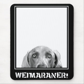 Weimaraner Nation: Weimaraner in einem Kasten! Mousepad