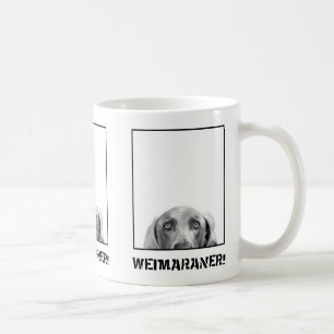 Weimaraner Nation: Weimaraner in einer Tasse