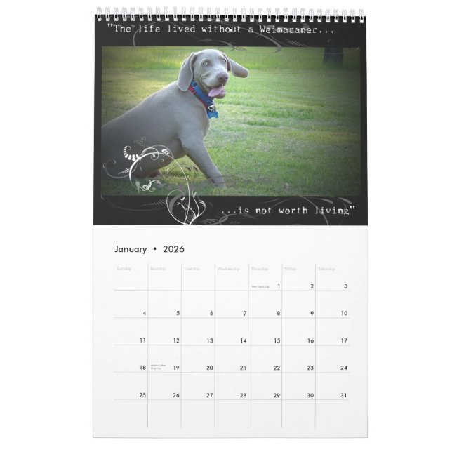 Weimaraner Nation: Zitat-Kalender Kalender (Jan 2026)