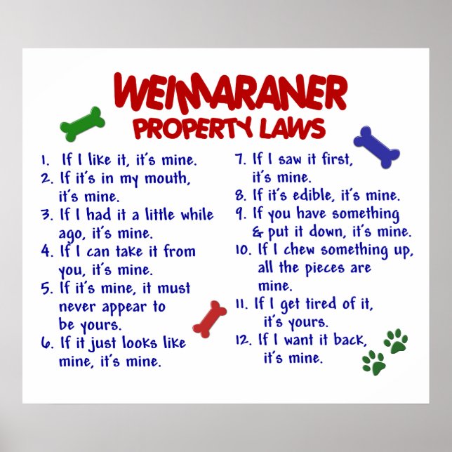WEIMARANER PL2 POSTER (Vorne)