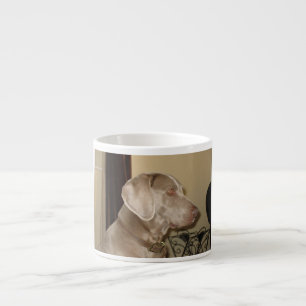 weimaraner.png espressotasse