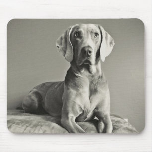 Weimaraner Porträt Mousepad