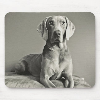 Weimaraner Porträt Mousepad
