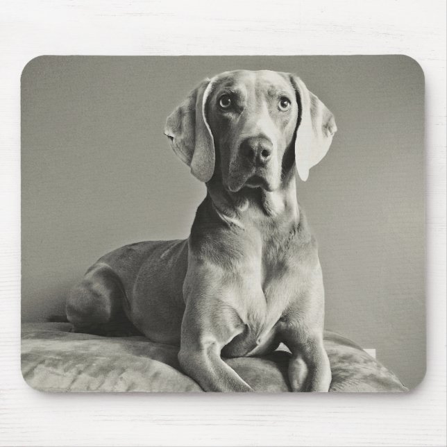 Weimaraner Porträt Mousepad (Vorne)