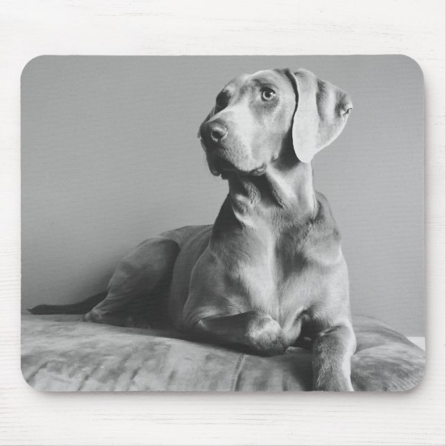 Weimaraner Porträt Mousepad (Vorne)