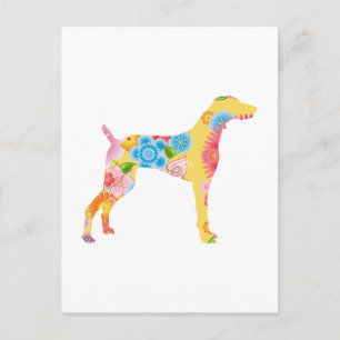 Weimaraner Postkarte