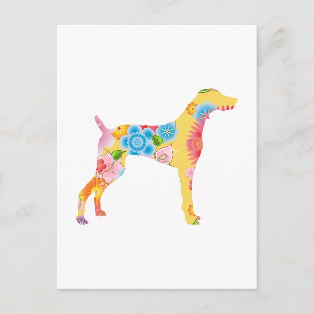 Weimaraner Postkarte (Vorderseite)