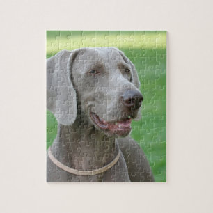 Weimaraner Puzzle