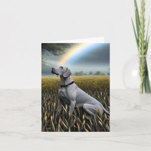 Weimaraner Rainbow Notecard