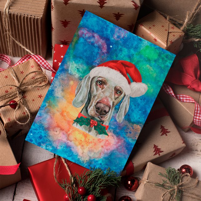Weimaraner-Rassehund Weihnachten (Von Creator hochgeladen)