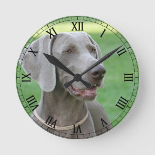 Weimaraner Runde Wanduhr