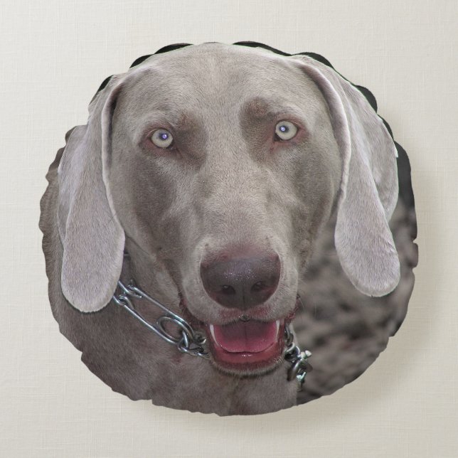 Weimaraner Rundes Kissen (Vorderseite)