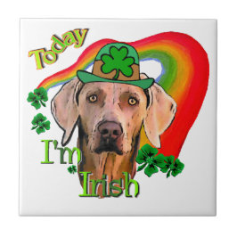 Weimaraner Saint Patricks Fliese