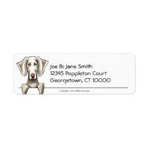 Weimaraner sauber und einfach