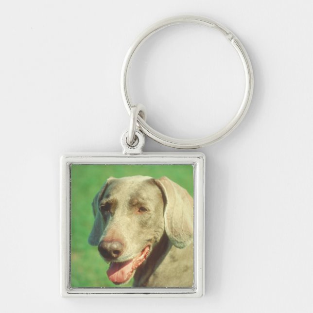 Weimaraner Schlüsselanhänger (Vorne)