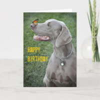 Weimaraner & Schmetterlingskarte