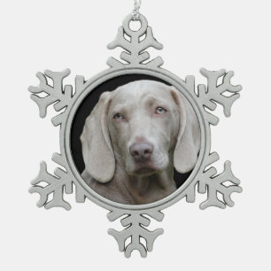 Weimaraner Silver Gray Schneeflocken Zinn-Ornament