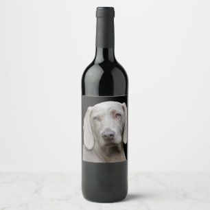 Weimaraner Silver Gray Weinetikett