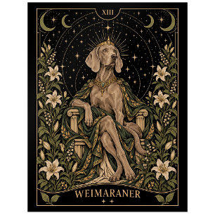 Weimaraner, Sternen-Tarot-Kunst Postkarte