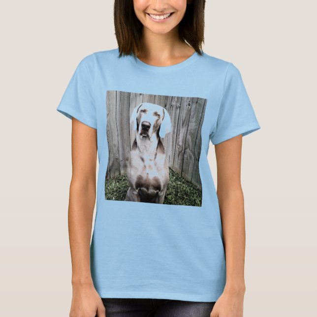 Weimaraner T-Shirt (Vorderseite)