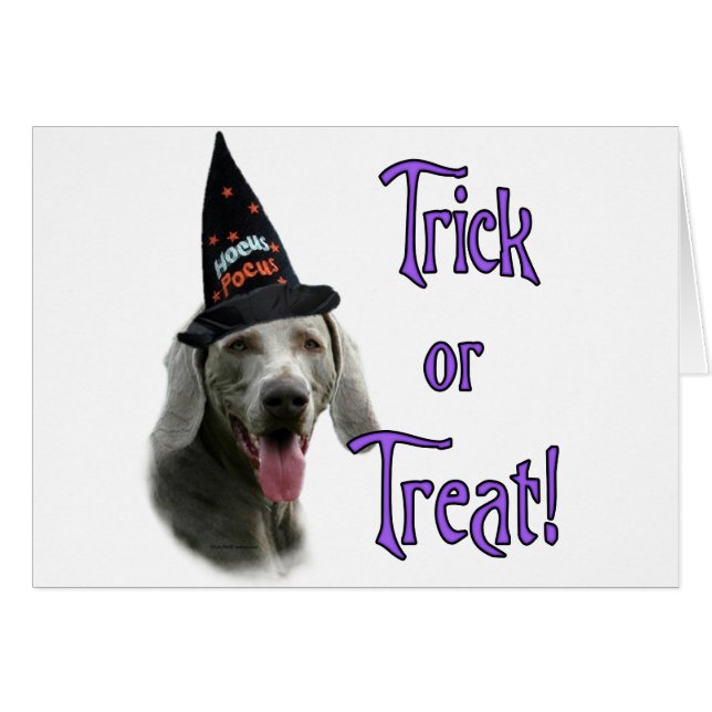 Weimaraner Trick (Vorderseite (Horizontal))