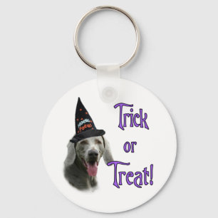 Weimaraner Trick Schlüsselanhänger