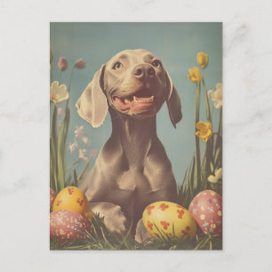 Weimaraner Vintag Ostern Postkarte