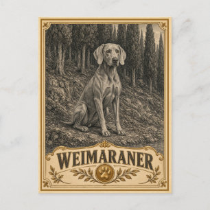 Weimaraner, Vintage Heritage Hund Postkarte