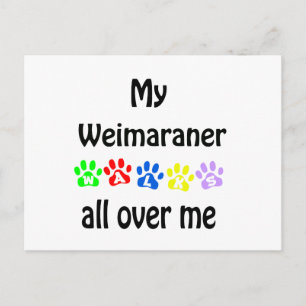 Weimaraner Walks Design Postkarte