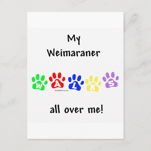 Weimaraner Walks Postkarte (Vorderseite)