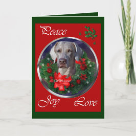 Weimaraner Weihnachtsgeschenke Feiertagskarte