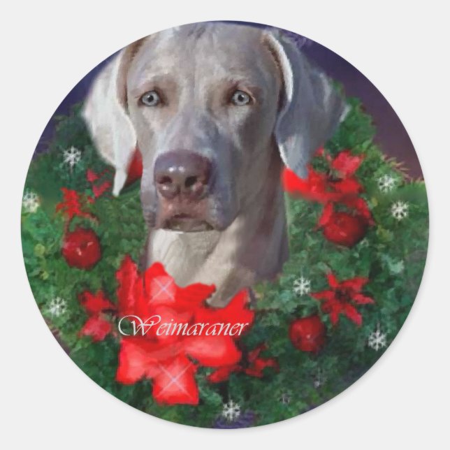Weimaraner Weihnachtsgeschenke Runder Aufkleber (Vorderseite)