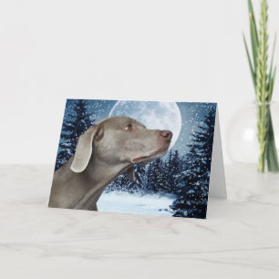 Weimaraner Weihnachtskarte Feiertagskarte