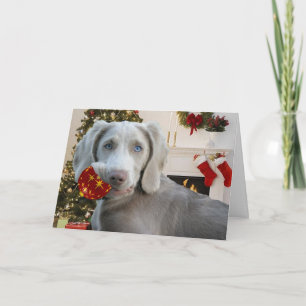Weimaraner Weihnachtsverzierungskarten Feiertagskarte